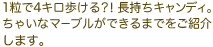 1粒で4キロ歩ける？！長持ちキャンディ。ちゃいなマーブルができるまでをご紹介します。