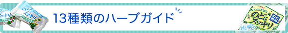 13種類のハーブガイド